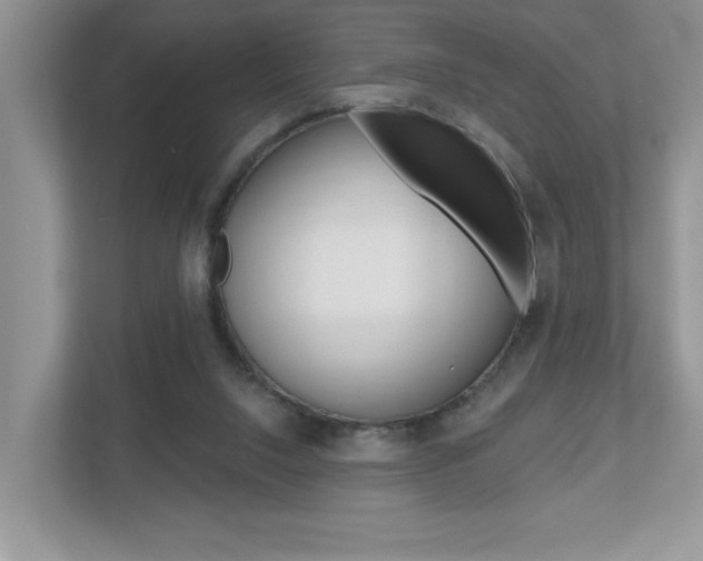 X0000112540064200908171214