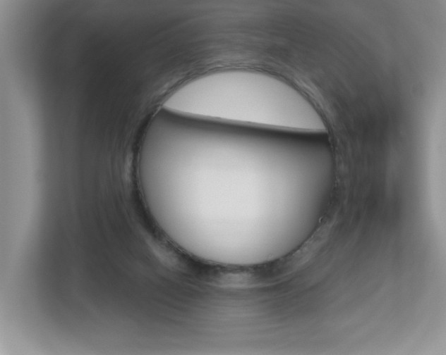 X0000112540066200908171214