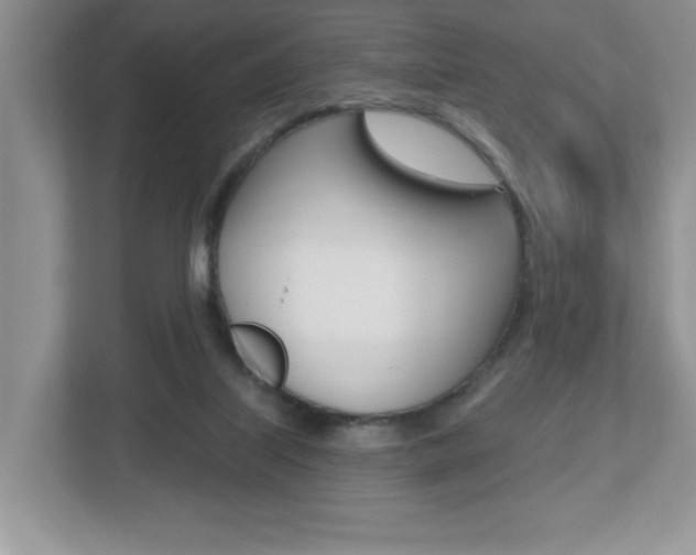 X0000112540067200908171214