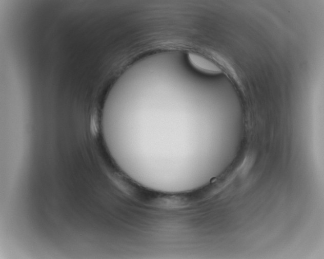 X0000112540069200908171214