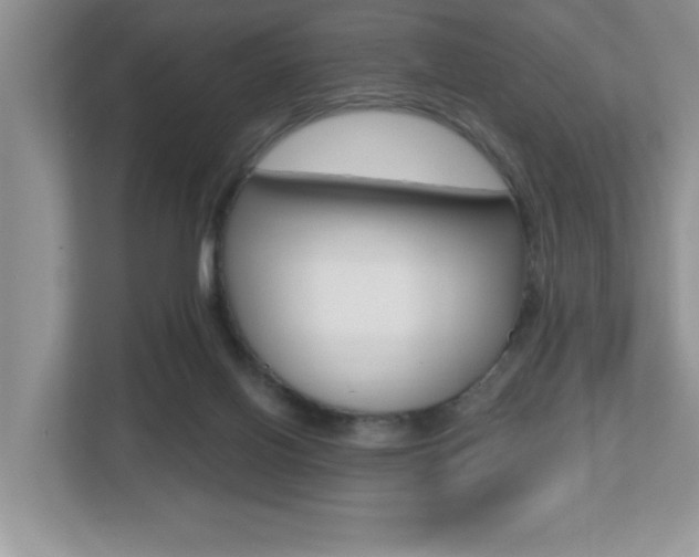 X0000112540070200908171214