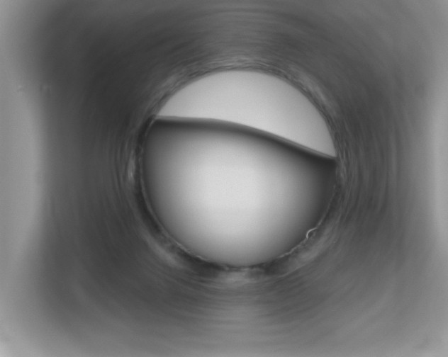 X0000112540072200908171214
