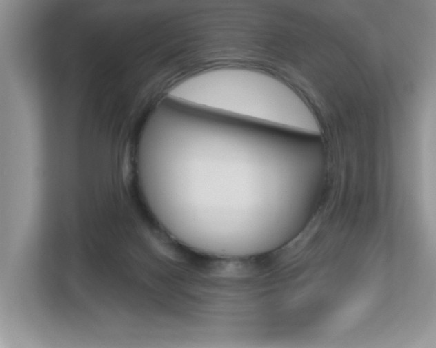 X0000112540074200908171214