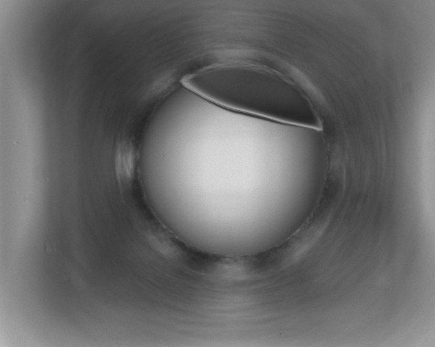 X0000112540076200908171215
