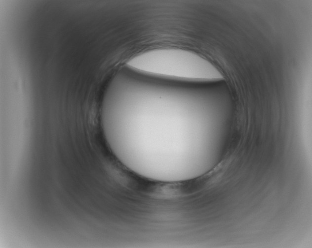 X0000112540078200908171215