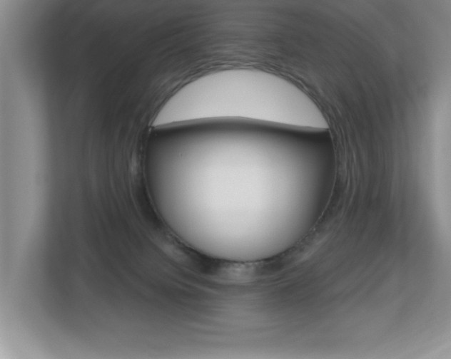 X0000112540084200908171215
