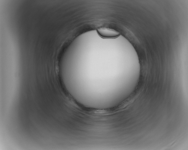 X0000112540085200908171215