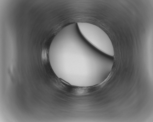 X0000112540094200908171215
