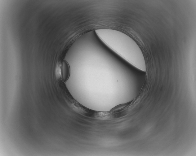 X0000112540095200908171215