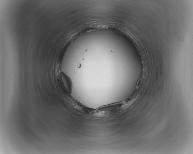 X0000112540096200908171215