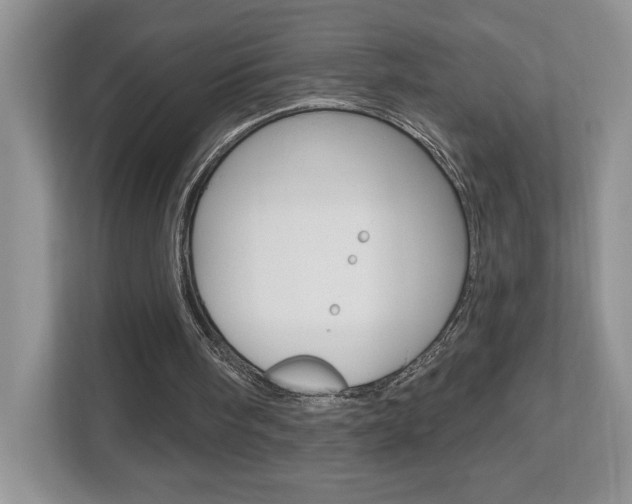X0000112540098200908171214
