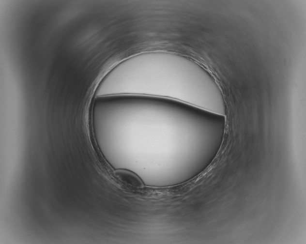 X0000112540099200908171214