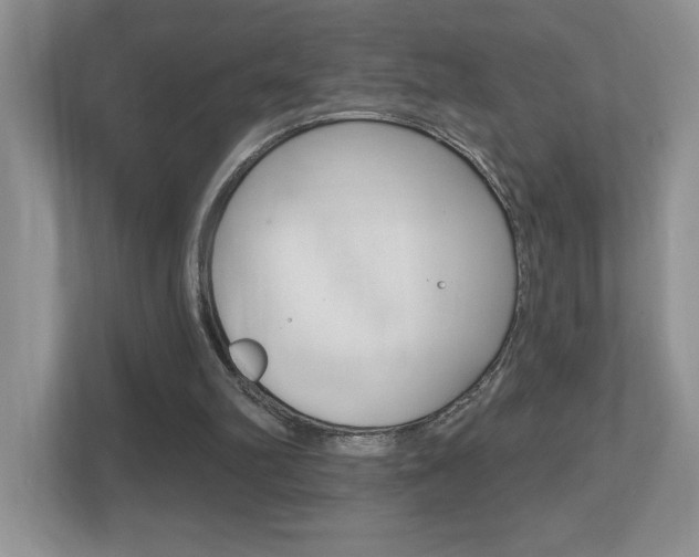 X0000112540102200908171214