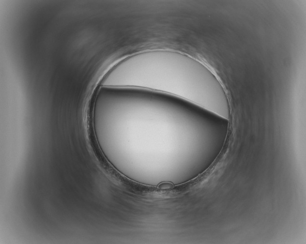 X0000112540103200908171214