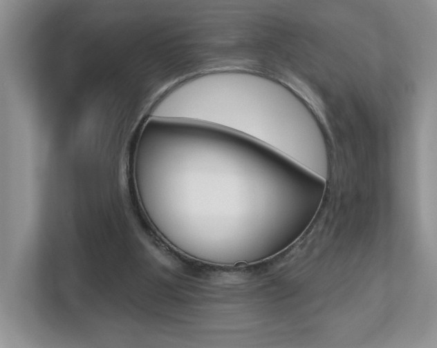 X0000112540107200908171214