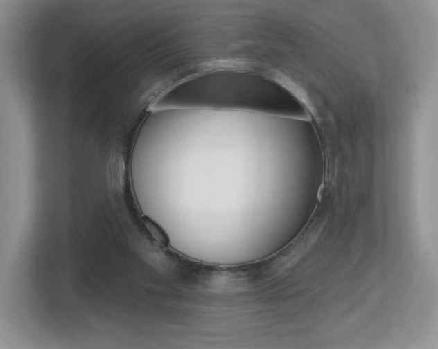 X0000112540109200908171214