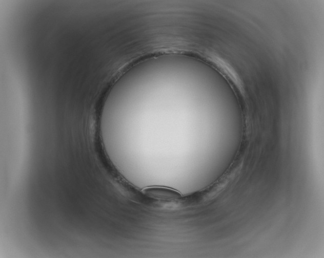 X0000112540113200908171214
