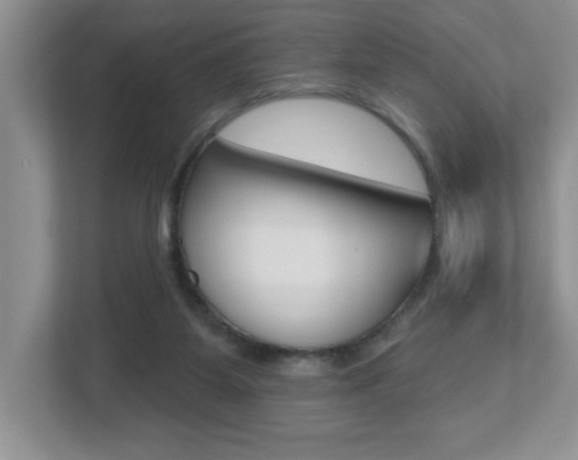X0000112540115200908171214