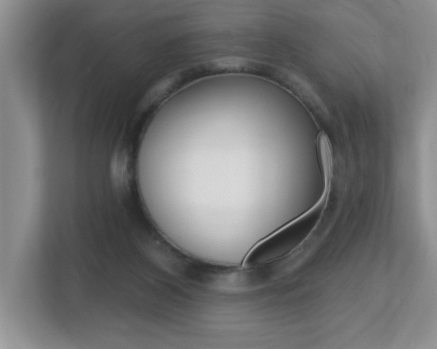 X0000112540116200908171214