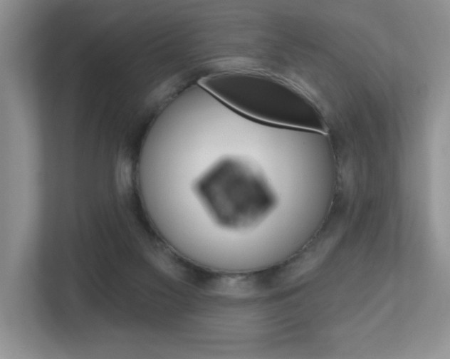 X0000112540117200908171214