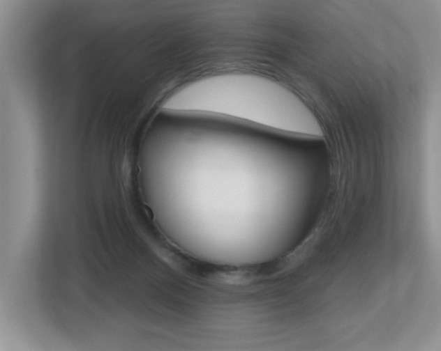 X0000112540120200908171214
