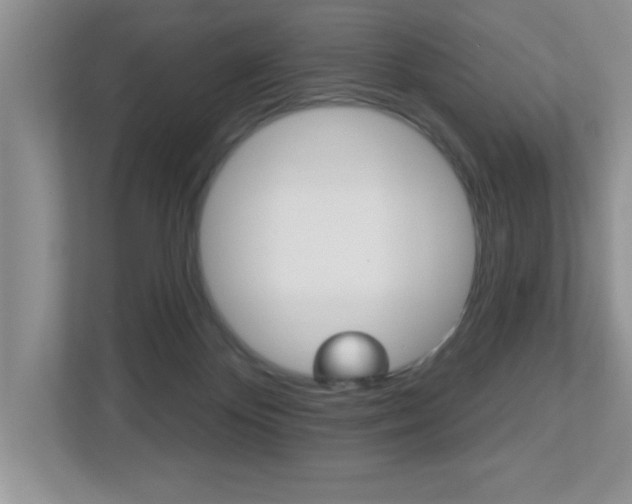 X0000112540124200908171214