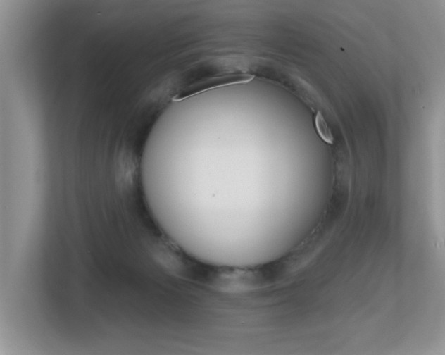 X0000112540125200908171214