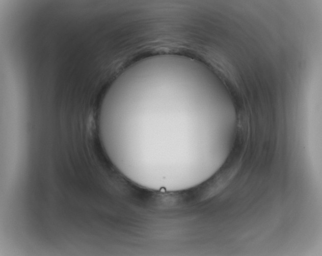 X0000112540127200908171214
