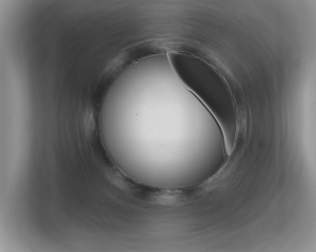 X0000112540128200908171214