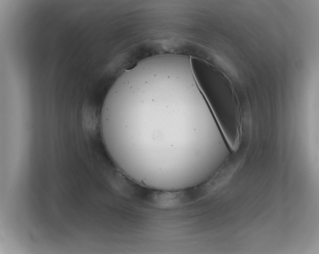 X0000112540129200908171214