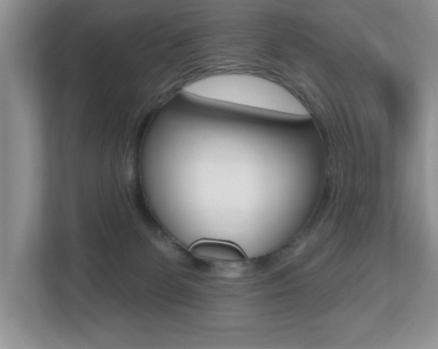 X0000112540131200908171214