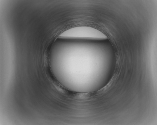 X0000112540136200908171214