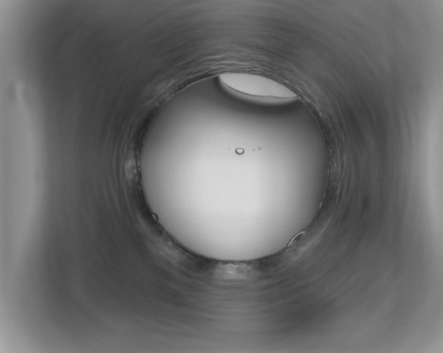 X0000112540137200908171214