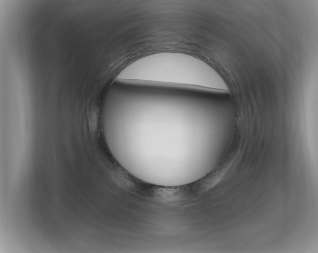 X0000112540139200908171214