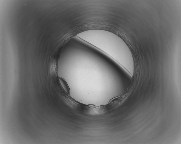 X0000112540143200908171214
