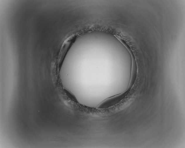 X0000112540144200908171214