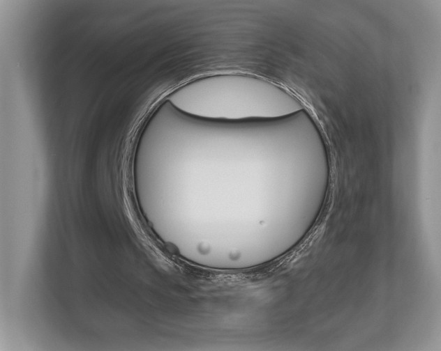 X0000112540145200908171213