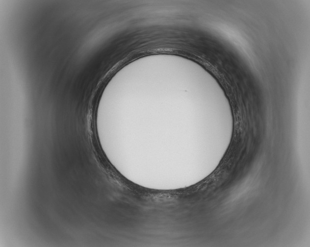 X0000112540146200908171213