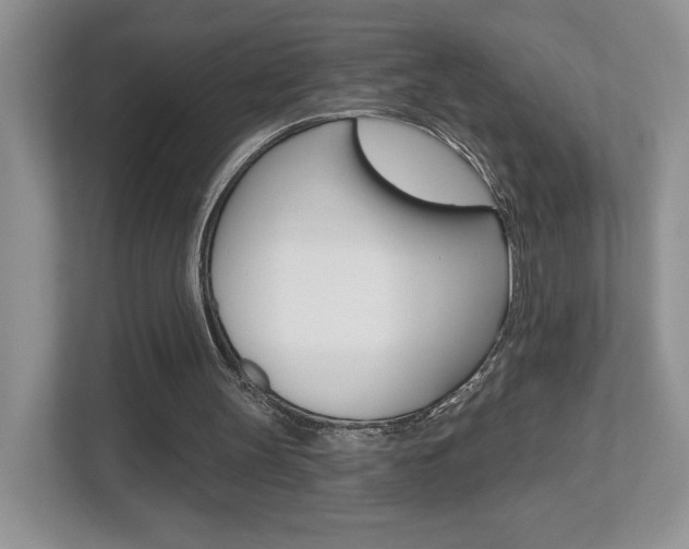 X0000112540147200908171213