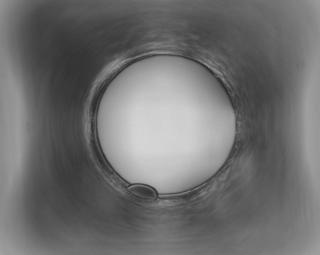 X0000112540149200908171213