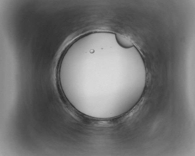 X0000112540151200908171213