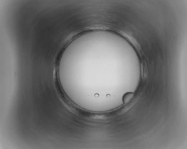 X0000112540157200908171213