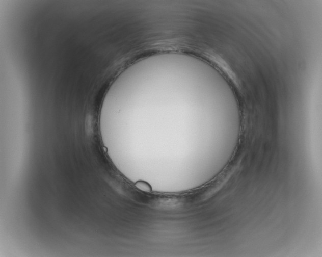X0000112540161200908171213