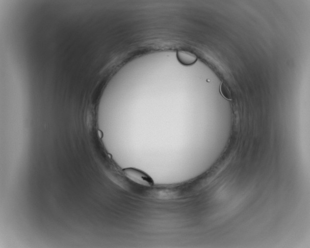 X0000112540165200908171213