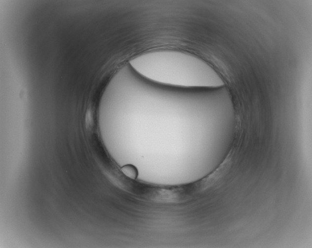 X0000112540166200908171213