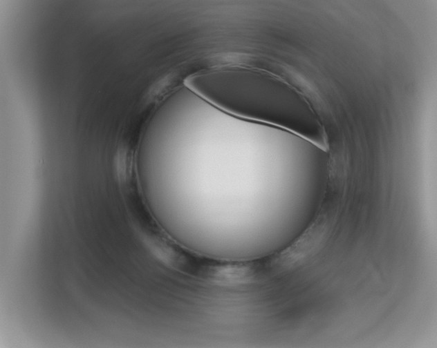 X0000112540168200908171213