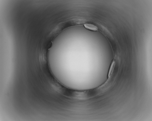 X0000112540170200908171213