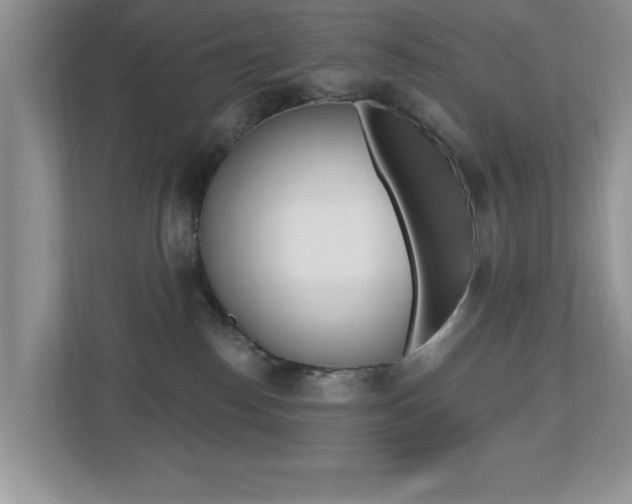 X0000112540186200908171213