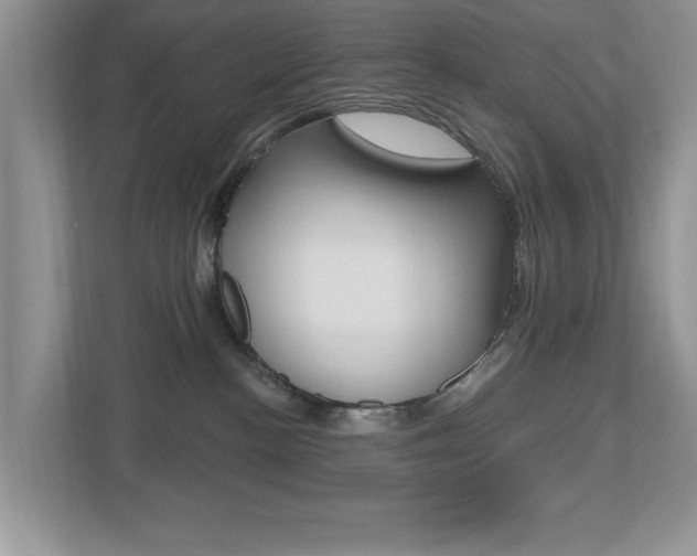 X0000112540188200908171213