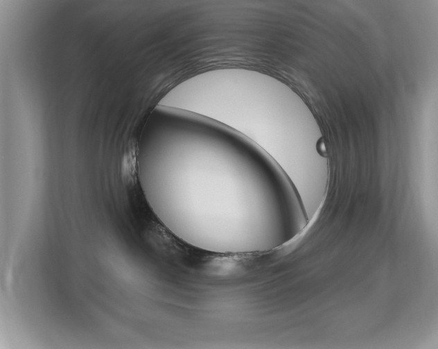 X0000112540190200908171213